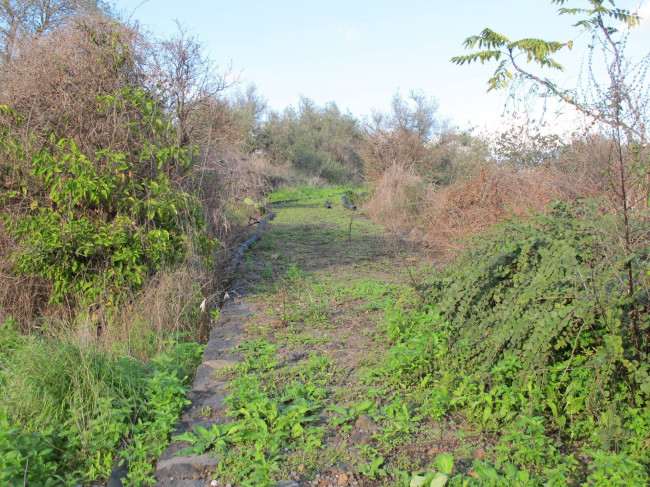 Terreno agricolo in vendita a Cannizzaro, Aci Castello (CT)