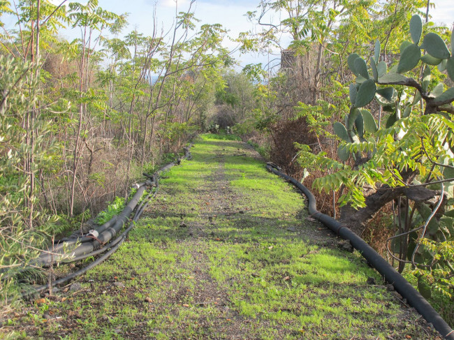 Terreno agricolo in vendita a Cannizzaro, Aci Castello (CT)