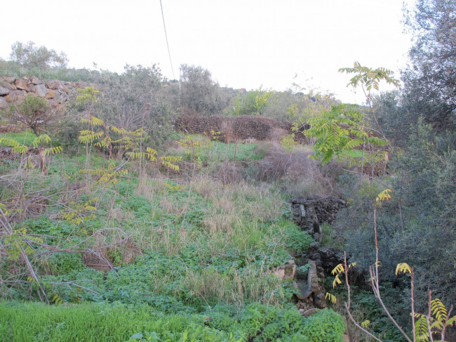 Terreno agricolo in vendita a Cannizzaro, Aci Castello (CT)