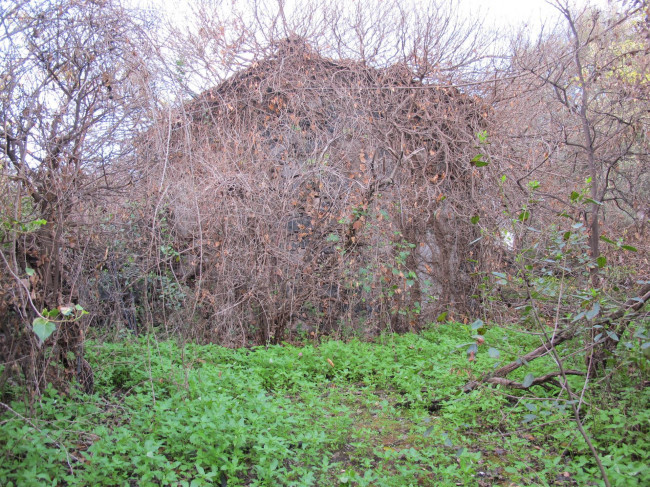 Terreno agricolo in vendita a Cannizzaro, Aci Castello (CT)