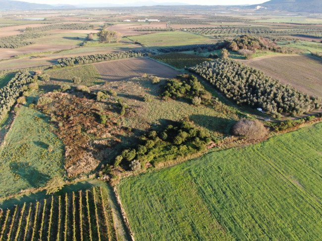 Terreno agricolo in vendita a Canino (VT)