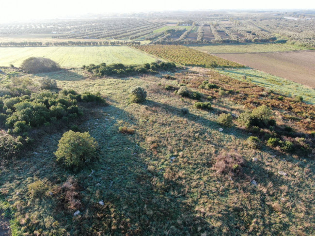 Terreno agricolo in vendita a Canino (VT)