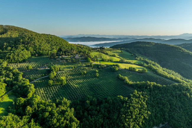 Village for Sale in Cortona