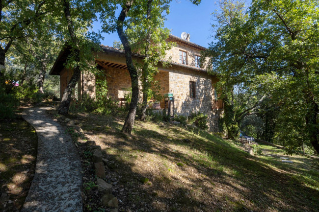 Tenuta in Vendita a Montalcino