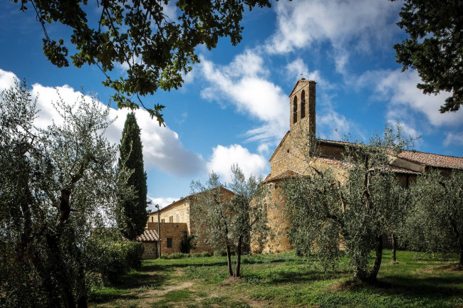 Colonica in Vendita a Trequanda