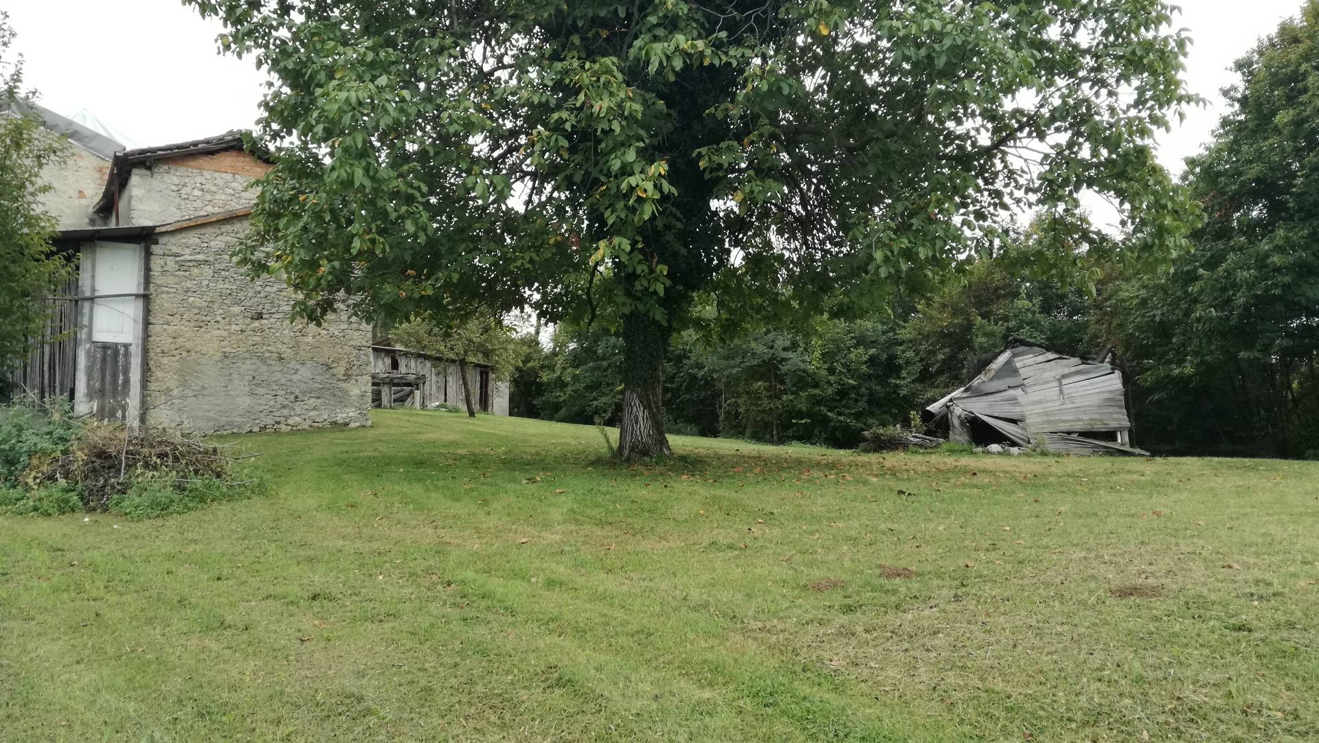 Rustico - Cascina SAN PIETRO DI FELETTO vendita    ImpREsa Conegliano