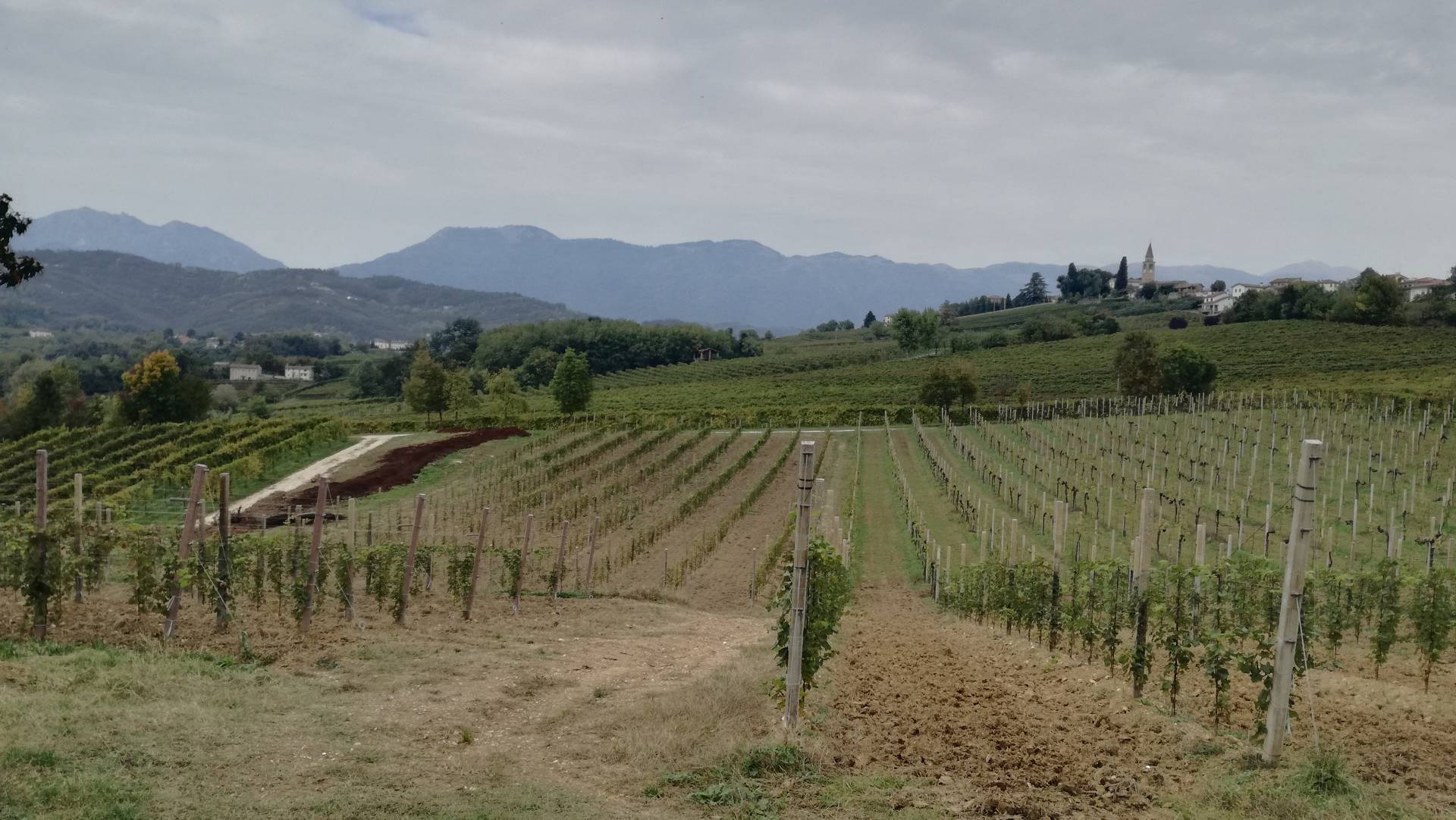 Rustico - Cascina SAN PIETRO DI FELETTO vendita    ImpREsa Conegliano