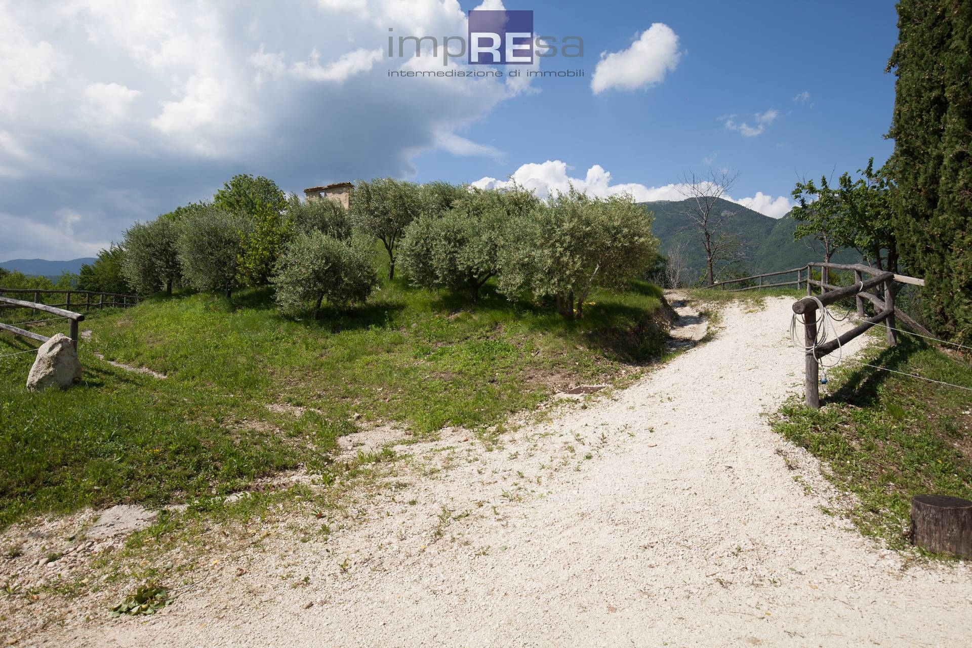  fregona vendita quart:  impresa conegliano