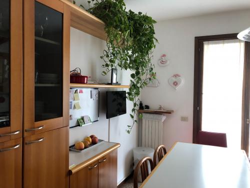 Abbinatabifamiliare In Vendita A Villorba Cod Ilc099