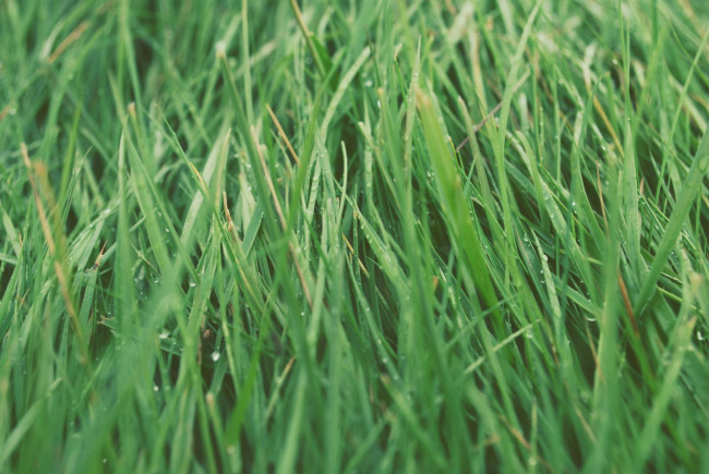 Terreno agricolo in vendita a Silea (TV)