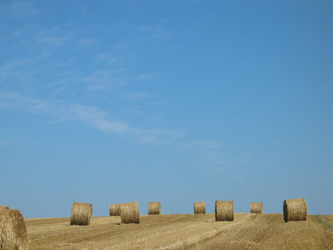 Terreno agricolo in vendita a Silea (TV)