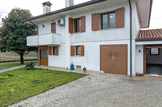 Immagine immobile