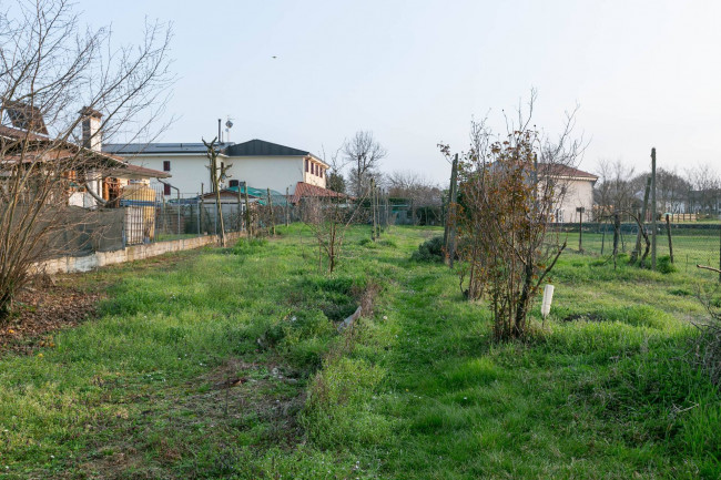 Immagine immobile