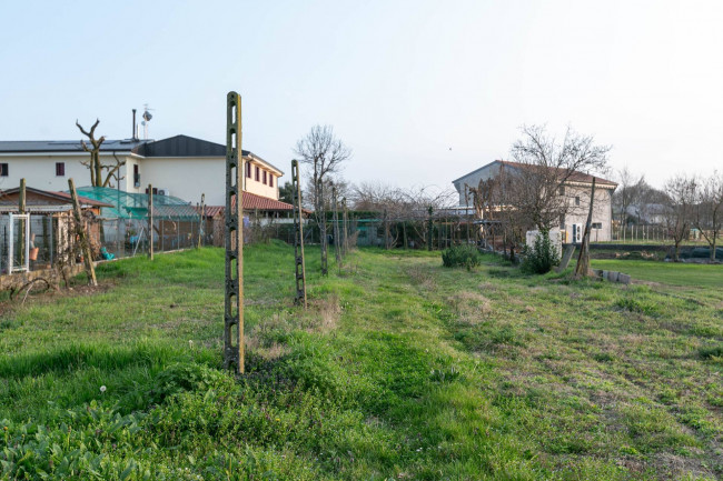 Immagine immobile