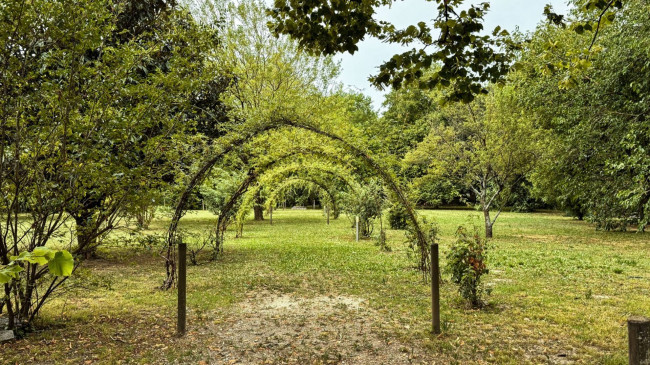 Immagine immobile