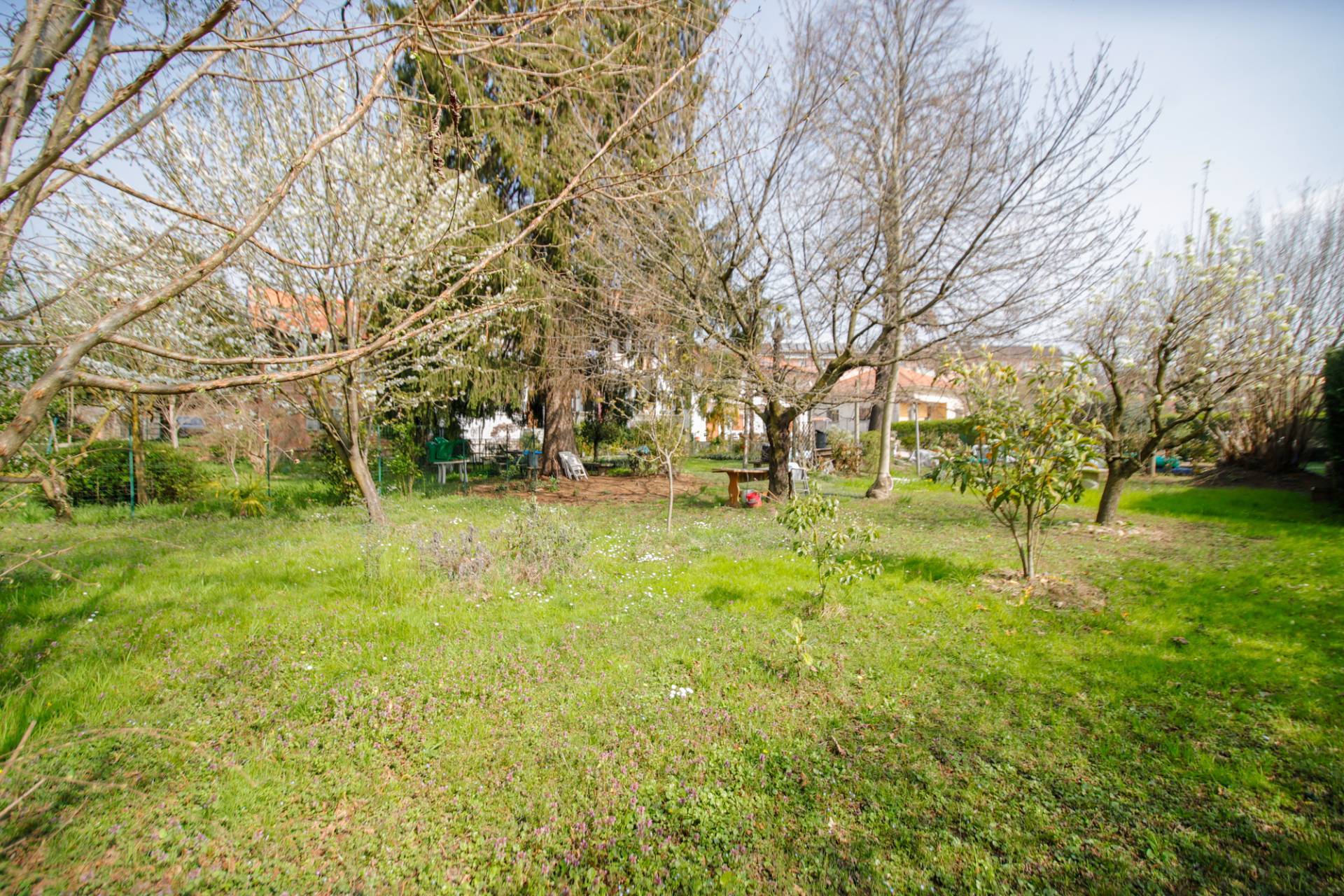 Casa semi-indipendente in vendita a Caluso (TO)