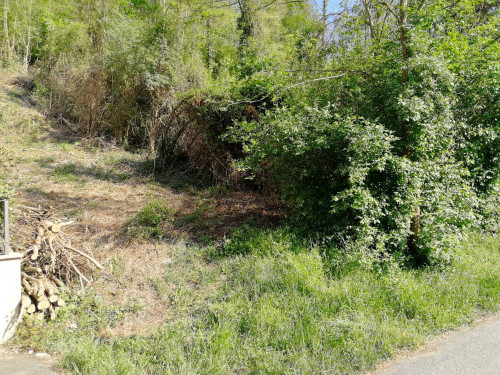 Terreno agricolo in vendita a Castiglione Torinese (TO)