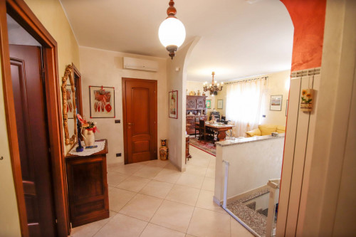  for Sale to Brandizzo